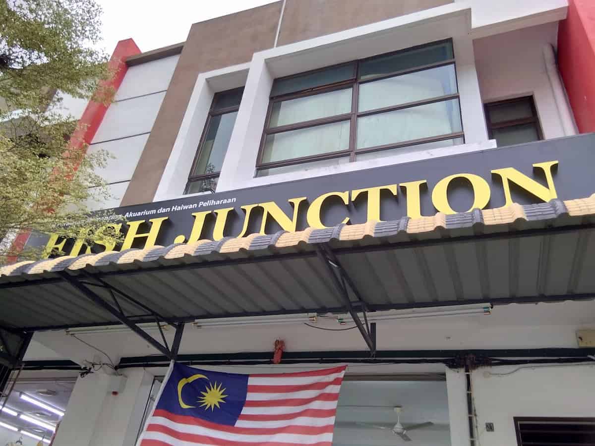 Fish Junction Kedai Pancing Muar
