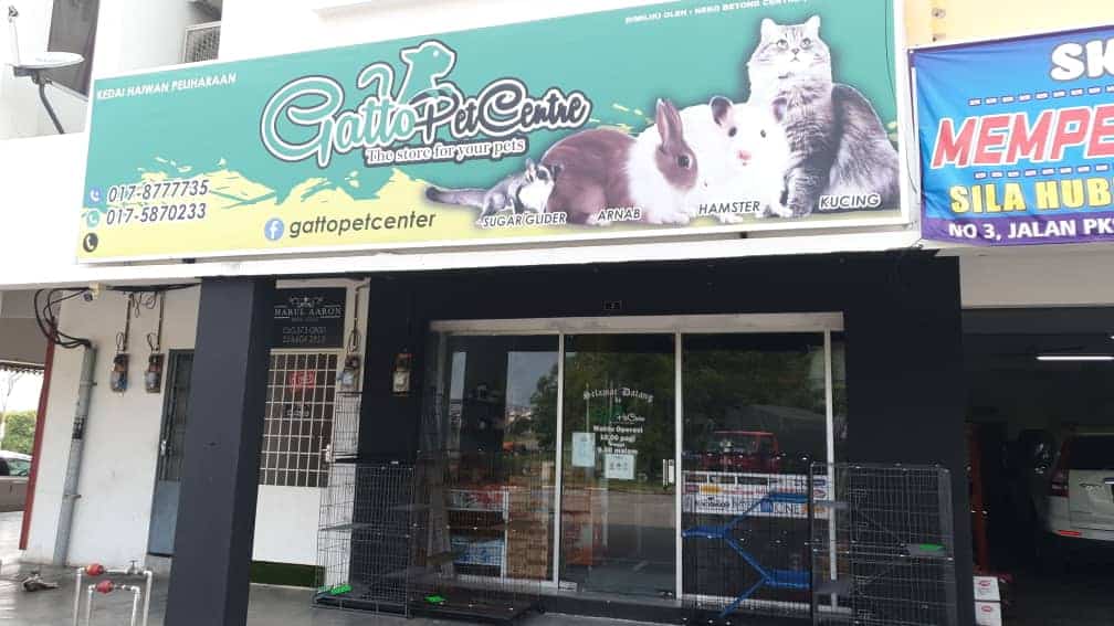 Gatto Pet Centre Sungai Petani Kedai Haiwan Kedah