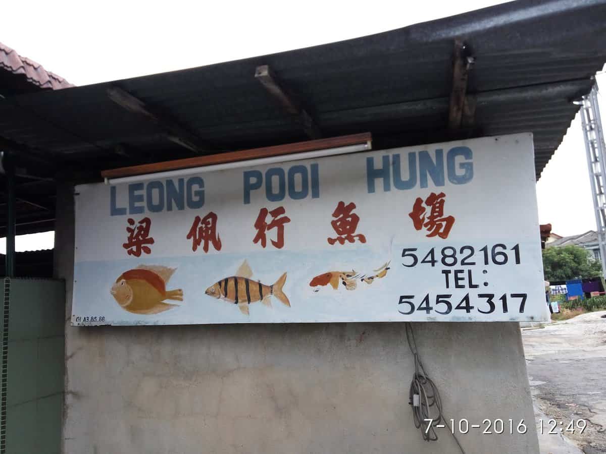Leong Pooi Hung Aquarium Kedai Aquarium Di Perak