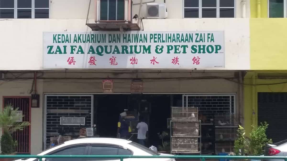 Zai Fa Aquarium & Pet Shop Kedai Ikan Hias Perak